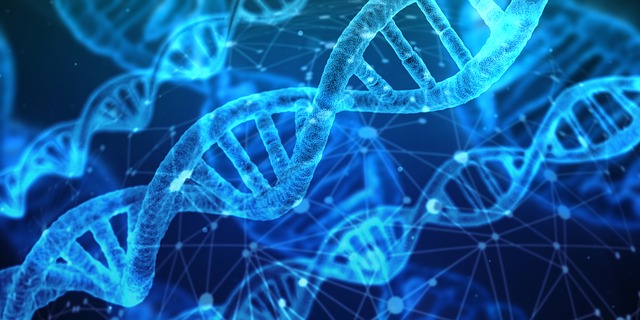 DNA Test Risks