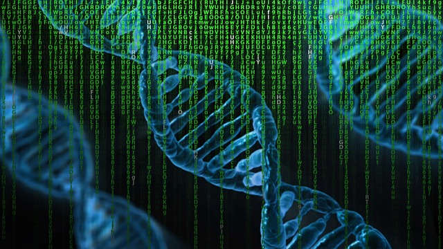 DNA Test Privacy Risks